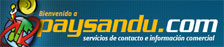 paysandu.com